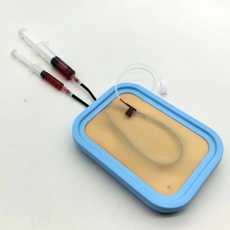 Venipuncture Training Kit Sili - Model Kit Store 评论和价格