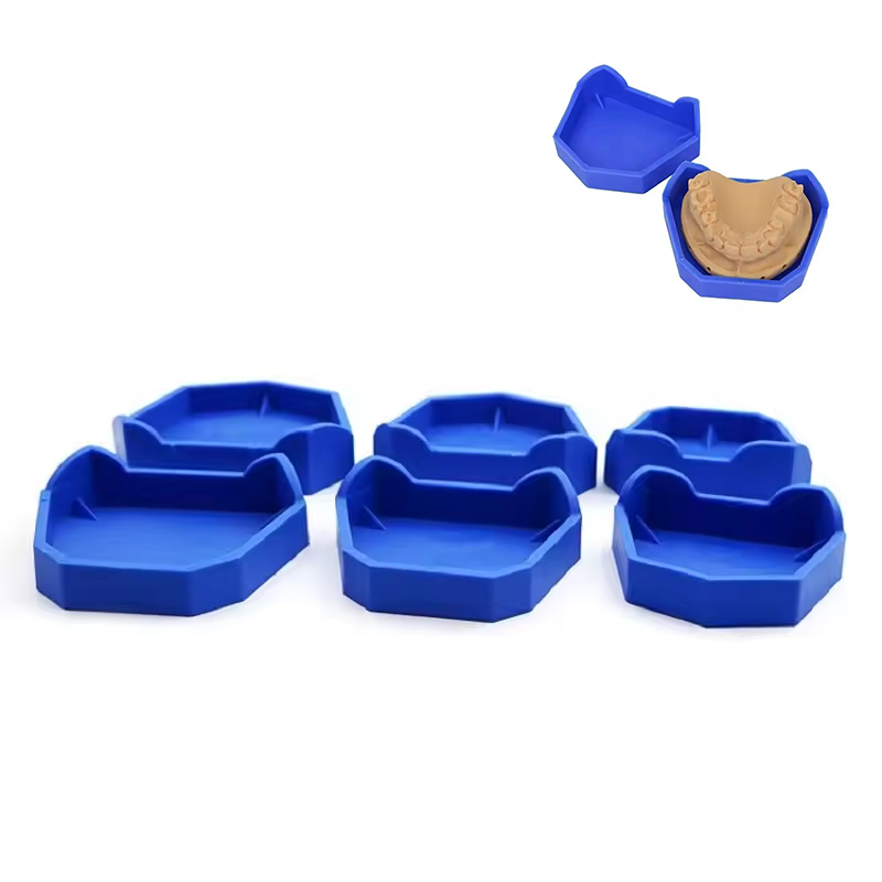 2/6Pcs Dental Model Base Silic - Model Kit Tool Set 评论和价格