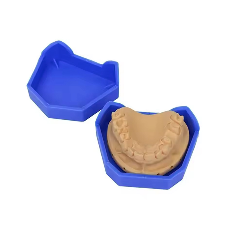 2/6Pcs Dental Model Base Silic - Model Kit Tool Set 评论和价格