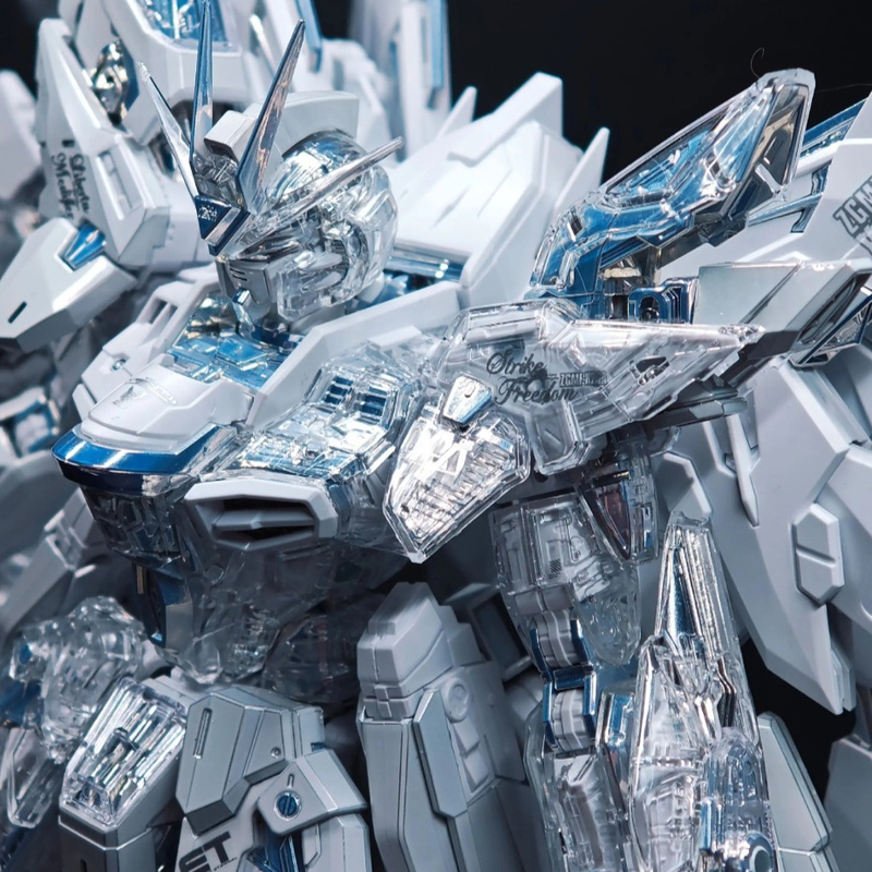 【IN STOCK】CHANGLONG 7701 Twili - Model Kit Nemesis 评论和价格