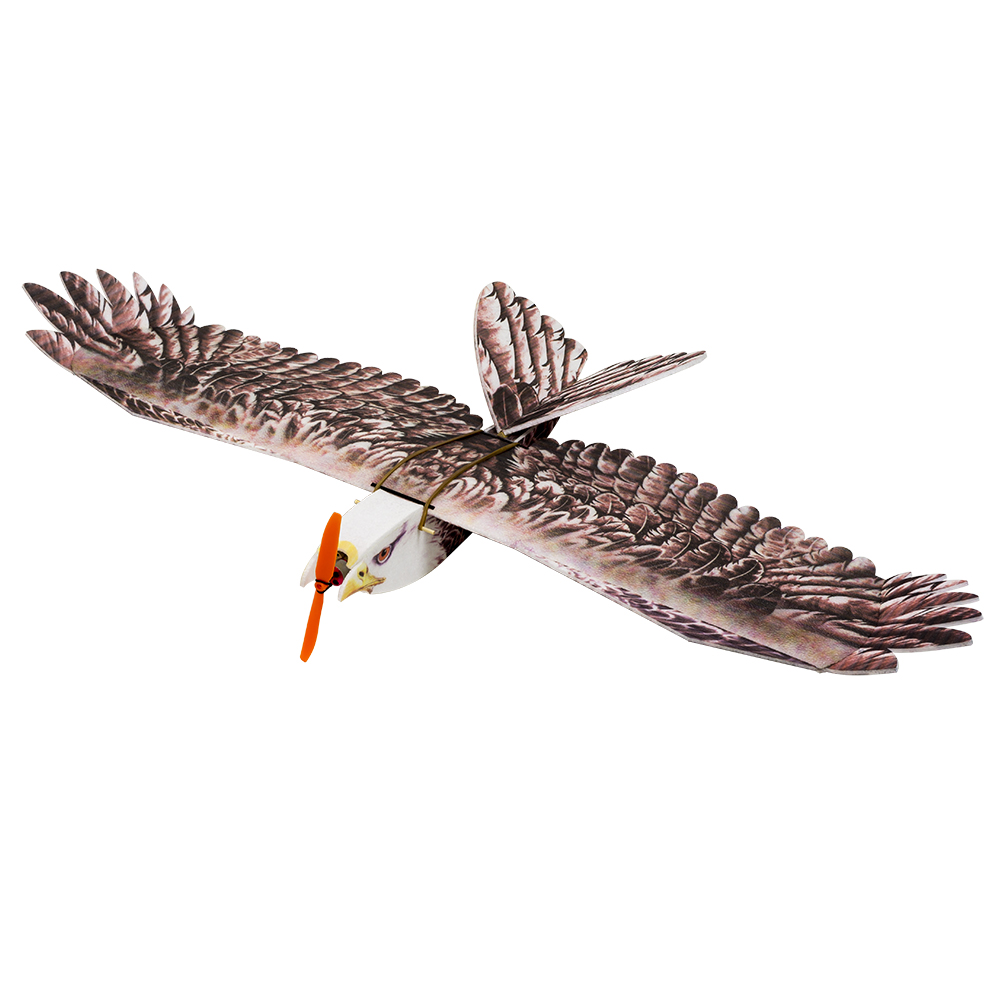 DW Hobby Eagle II EPP Airplane - Model Kit Expert 评论和价格