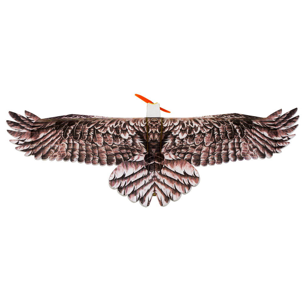 DW Hobby Eagle II EPP Airplane - Model Kit Expert 评论和价格