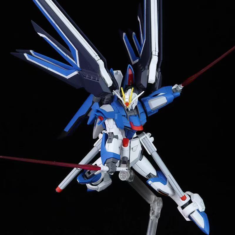 HG STTS-909 Rising Freedom Gun - Model Kit Gundam Wing 评论和价格