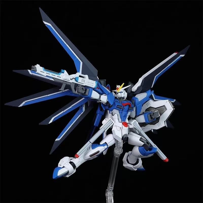 HG STTS-909 Rising Freedom Gun - Model Kit Gundam Wing 评论和价格