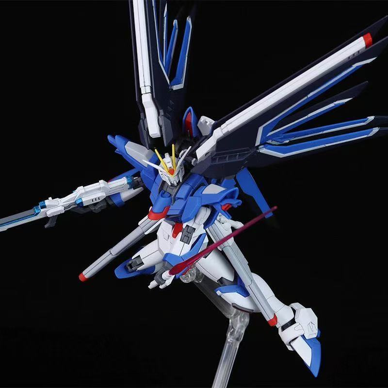 HG STTS-909 Rising Freedom Gun - Model Kit Gundam Wing 评论和价格